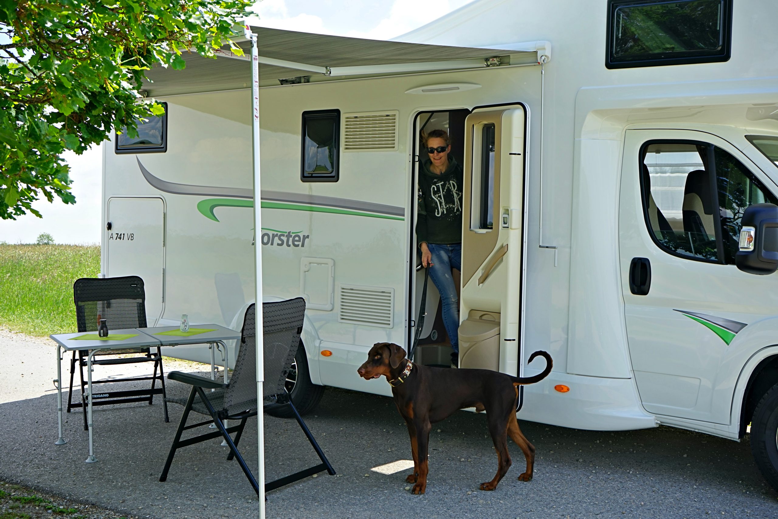 camper tour mit hund